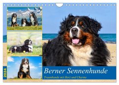 Berner Sennenhunde - Traumhunde mit Charme (Wandkalender 2024 DIN A4 quer), CALVENDO Monatskalender