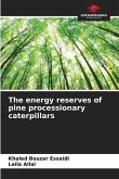 The energy reserves of pine processionary caterpillars