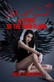 A Story of the Twin Flame (eBook, ePUB)
