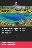 Gestão integrada dos recursos hídricos em Hilltown