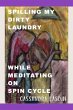 Spilling My Dirty Laundry While... - Bild 1