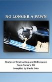 NO LONGER A PAWN (eBook, ePUB)