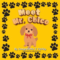 Meet Mr. Chico - Fairley, Samgrelletta