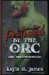 Protected By The Orc - Bild 1