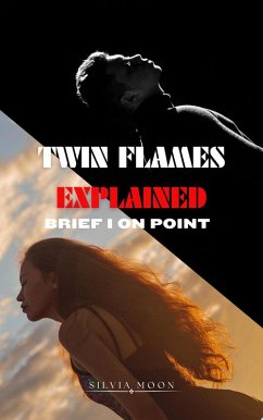 Twin Flames Explained (Twin Flame Newbies) (eBook, ePUB) - Moon, Silvia