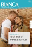 Noch immer brennt das Feuer (eBook, ePUB)