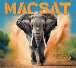 Turn It Up - Macsat