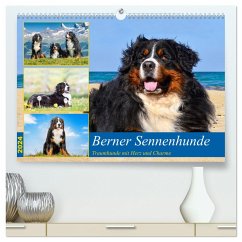 Berner Sennenhunde - Traumhunde mit Charme (hochwertiger Premium Wandkalender 2024 DIN A2 quer), Kunstdruck in Hochglanz - K. Fotografie, Jana