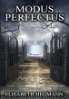 Modus Perfectus - Bild 1