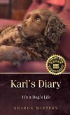 Karl's Diary