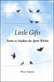 Little Gifts (eBook, ePUB)