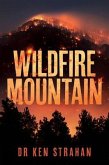 Wildfire Mountain (eBook, ePUB)