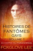 Histoires de fantômes gays volume 1 (eBook, ePUB)