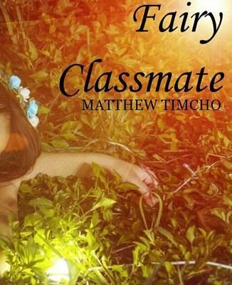 Fairy classmate (eBook, ePUB)