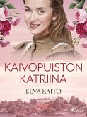Kaivopuiston Katriina (eBook, ePUB)