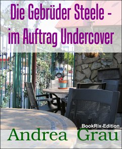 Die Gebrüder Steele - im Auftrag Undercover (eBook, ePUB) - Grau, Andrea