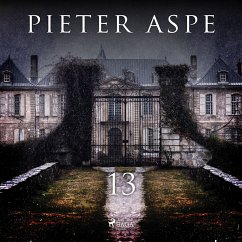 13 (MP3-Download) - Aspe, Pieter