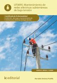 Mantenimiento de redes eléctricas subterráneas de baja tensión. ELEE0109 (eBook, ePUB)