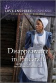 Disappearance in Pinecraft (eBook, ePUB)