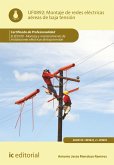 Montaje de redes eléctricas aéreas de baja tensión. ELEE0109 (eBook, ePUB)