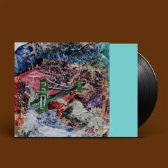 Bridge To Quiet (Ltd 12inch+Mp3) - Animal Collective