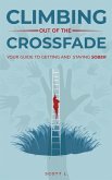 Climbing Out Of The Crossfade - Your Guide to Getting and Staying Sober (eBook, ePUB)