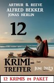 12 Krimi Treffer Juni 2023: 12 Krimis im Paket (eBook, ePUB)