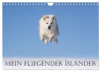 Mein fliegender Isländer (Wandkalender 2024 DIN A4 quer), CALVENDO Monatskalender