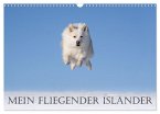 Mein fliegender Isländer (Wandkalender 2024 DIN A3 quer), CALVENDO Monatskalender