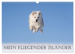 Mein fliegender Isländer (Wandkalender 2024 DIN A3 quer), CALVENDO Monatskalender - Scheurer, Monika