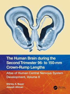 Cover The Human Brain during the Second Trimester 96- to 150-mm Crown-Rump Lengths (eBook, PDF)