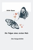 Die Folgen eines ersten Mals (eBook, ePUB)