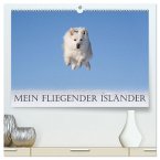 Mein fliegender Isländer (hochwertiger Premium Wandkalender 2024 DIN A2 quer), Kunstdruck in Hochglanz