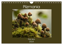 Pilzmania (Wandkalender 2024 DIN A4 quer), CALVENDO Monatskalender