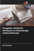 Progetto (H)ALFA: sfruttare la bioenergia sottoutilizzata