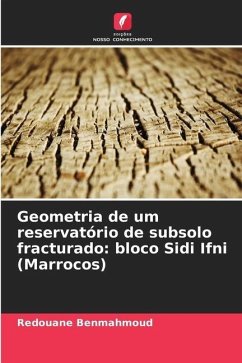 Geometria de um reservatório de subsolo fracturado: bloco Sidi Ifni (Marrocos) - Benmahmoud, Redouane