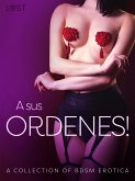 A sus ordenes! - A Collection of BDSM Erotica (eBook, ePUB)