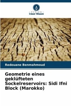 Geometrie eines geklüfteten Sockelreservoirs: Sidi Ifni Block (Marokko) - Benmahmoud, Redouane