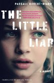 The Little Liar (eBook, ePUB)