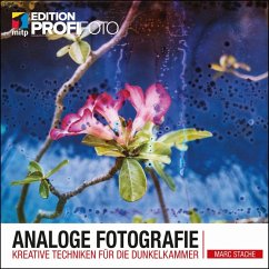 Analoge Fotografie (eBook, ePUB) - Stache, Marc