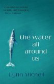 The water all around us (eBook, ePUB)