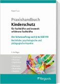 Praxishandbuch Kinderschutz für Fachkräfte und insoweit erfahrene Fachkräfte (E-Book) (eBook, PDF)