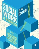 Social Work (eBook, ePUB)