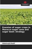 Enemies of sugar crops in Morocco sugar cane and sugar beet: strategy