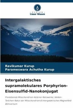 Intergalaktisches supramolekulares Porphyrion-Eisensulfid-Nanokonjugat - Kurup, Ravikumar;Achutha Kurup, Parameswara