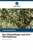 Die Olivenfliege und ihre Wirtspflanze