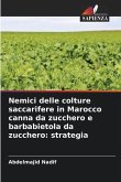 Nemici delle colture saccarifere in Marocco canna da zucchero e barbabietola da zucchero: strategia