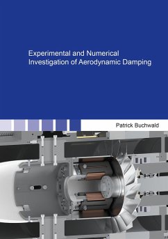 Experimental and Numerical Investigation of Aerodynamic Damping - Buchwald, Patrick