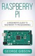 Raspberry Pi - Bild 1