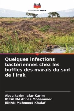 Quelques infections bactériennes chez les buffles des marais du sud de l'Irak - Jafar Karim, Abdulkarim;Abbas Mohammed, IBRAHIM;Mahmood Khalaf, JENAN